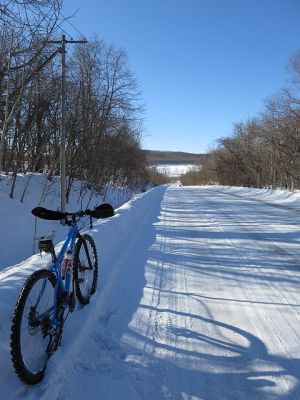 舗装路だけれど、雪道 舗装路だけれど、雪道
