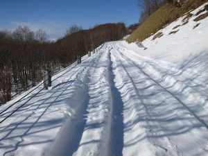 テクニカル雪面w