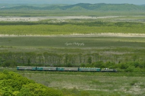 緑が増した釧路湿原