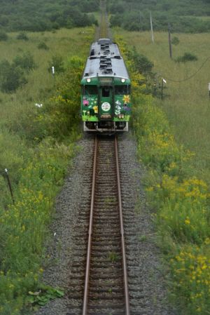 フェンスの金網を溶かして撮影 フェンスの金網を溶かして撮影