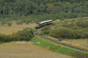最近のフォーカスポイントはここなのだ(笑)