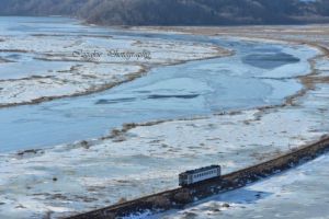 今回は、レンズを変えて見たり(笑) 今回は、レンズを変えて見たり(笑)